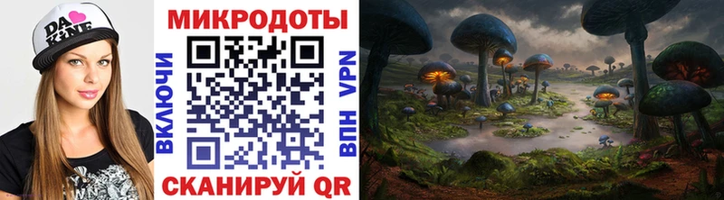 Купить  Петровск-Забайкальский  Галлюциногенные грибы Magic Shrooms 